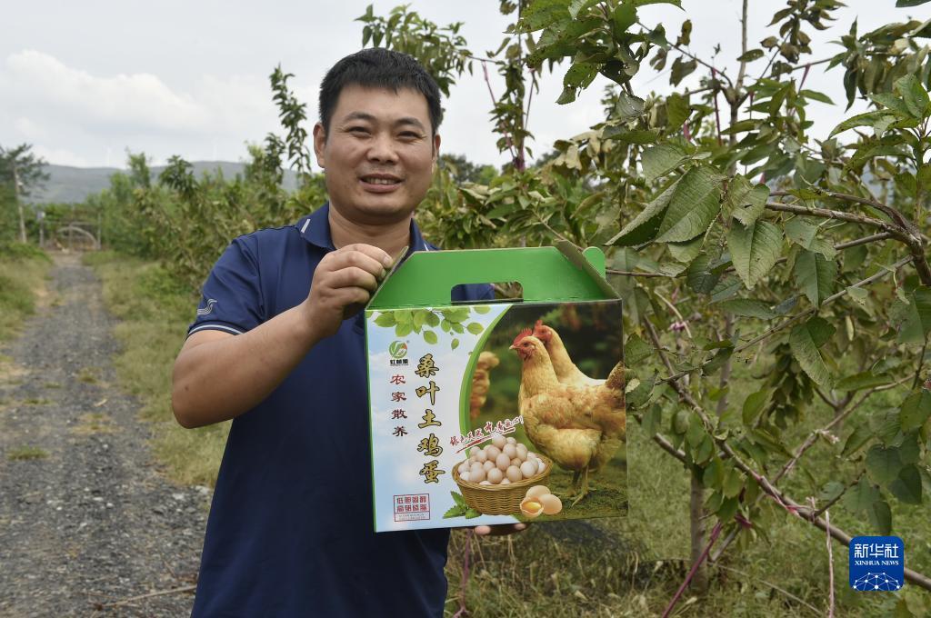 百老汇平台游戏